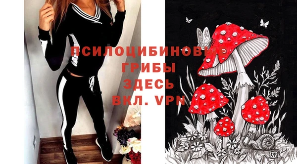 таблы Алзамай