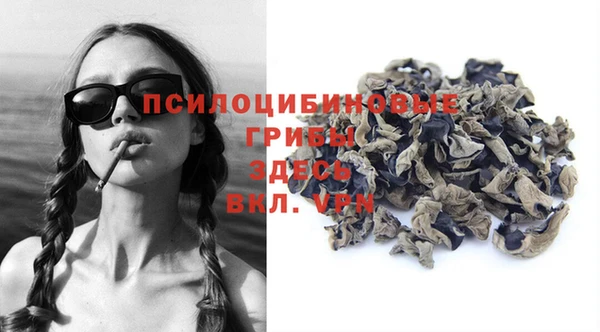 хмурый Алексеевка